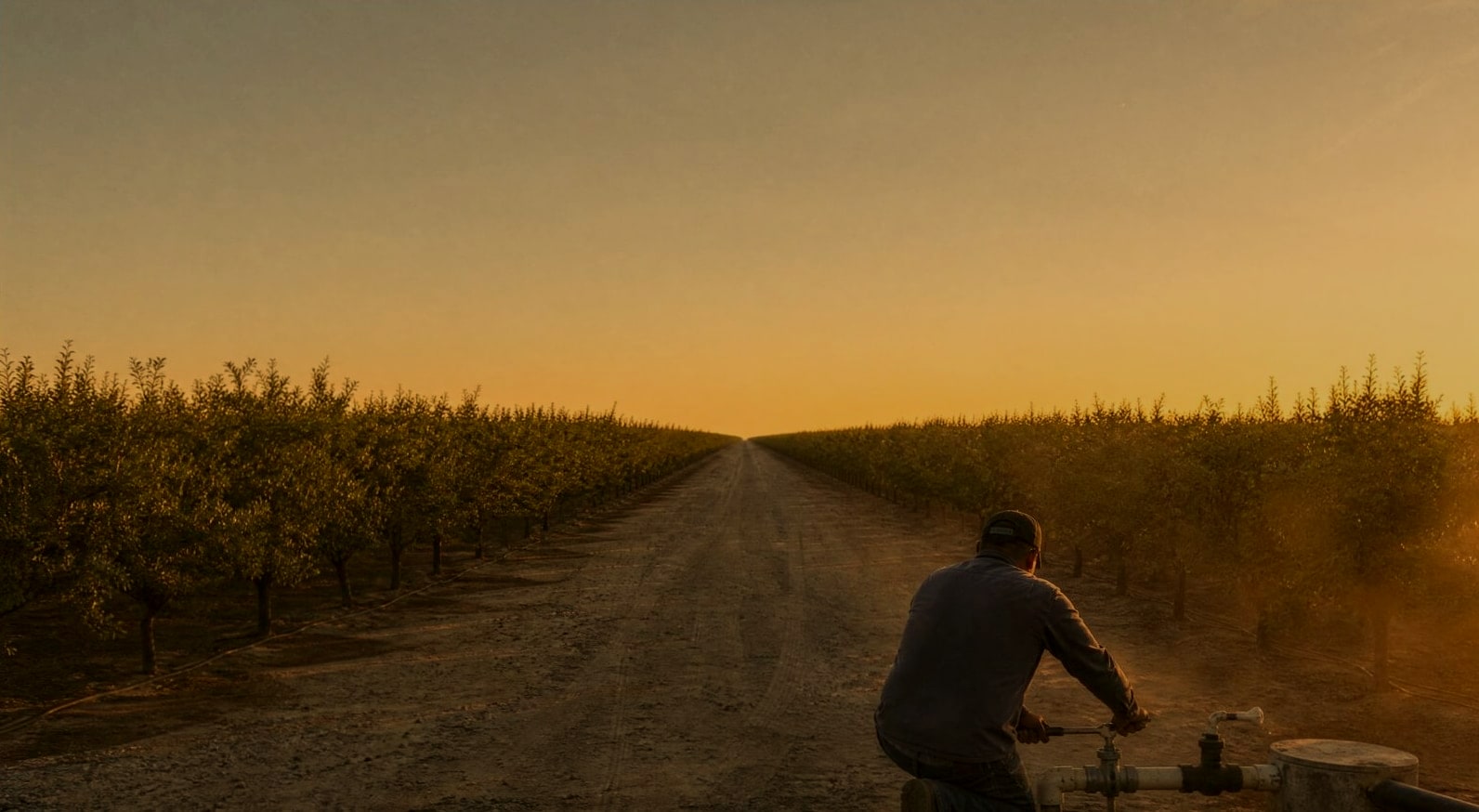 An irrigation technician kneeling at a pipe fitting on a straight dirt road between orchard rows at dusk, back to the camera, both hands on the wrench.