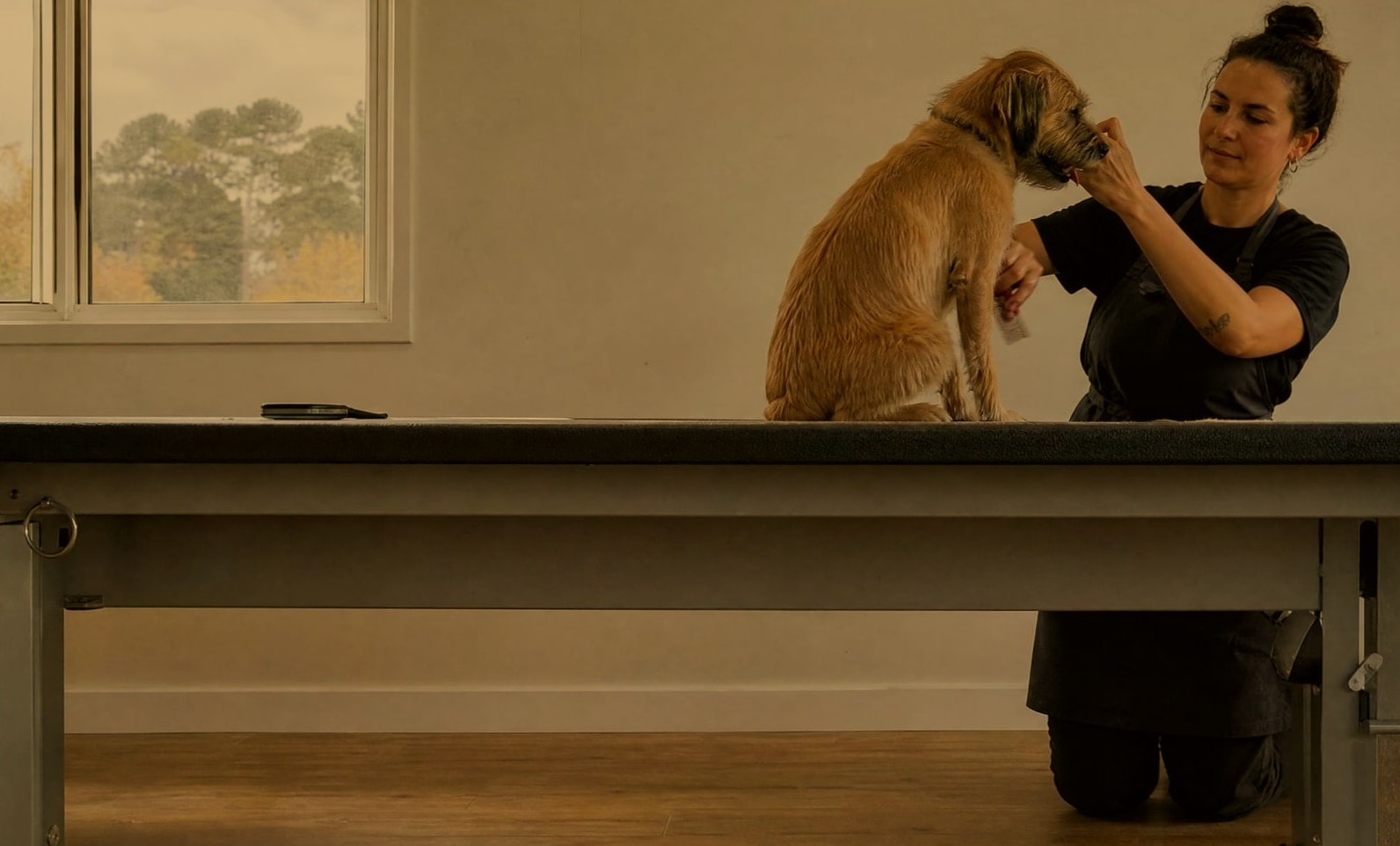 A groomer working on a dog at a grooming table, the table edge running level across the frame, a phone face-down on the edge.